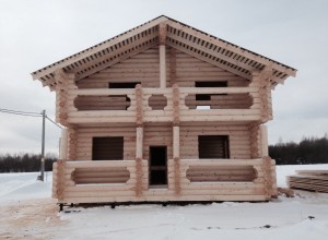 Строительство первых домов